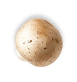 mushroom